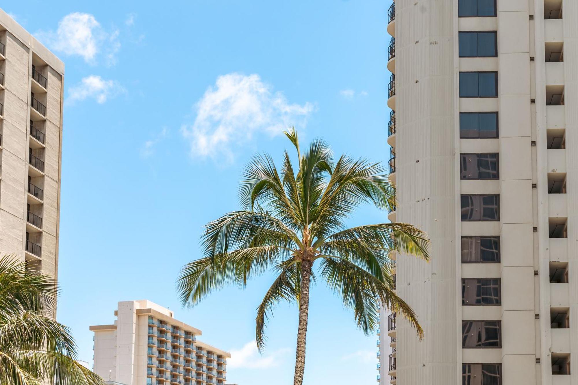 Ocean & Diamond Head Views - Near Beach - Parking! Honolulu Esterno foto
