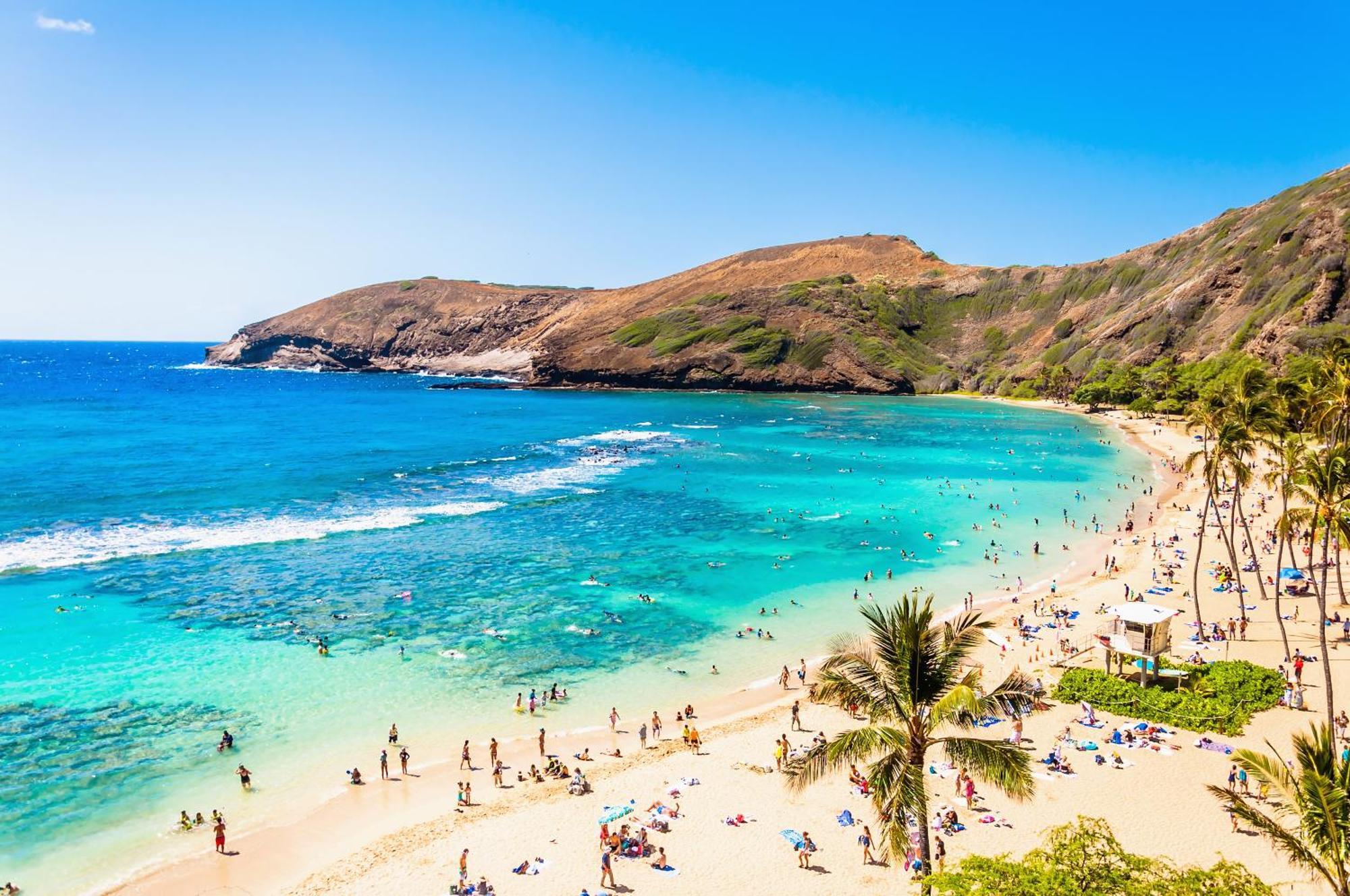 Ocean & Diamond Head Views - Near Beach - Parking! Honolulu Esterno foto